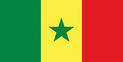 Senegal bayrağı