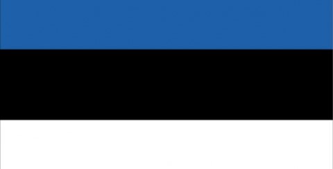 Estonya çalışma vizesi